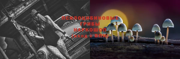 mdpv Балабаново
